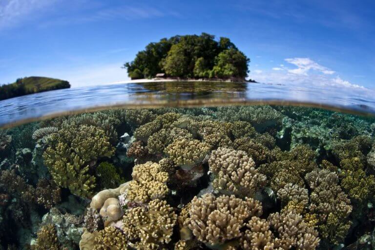 World Bank Helps Solomon Islands with Disaster Resilience