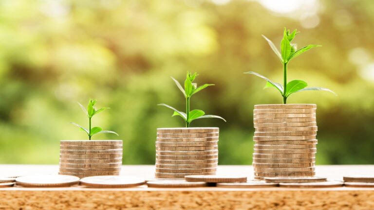 How a Sustainable Policy Can Enhance Your Business
