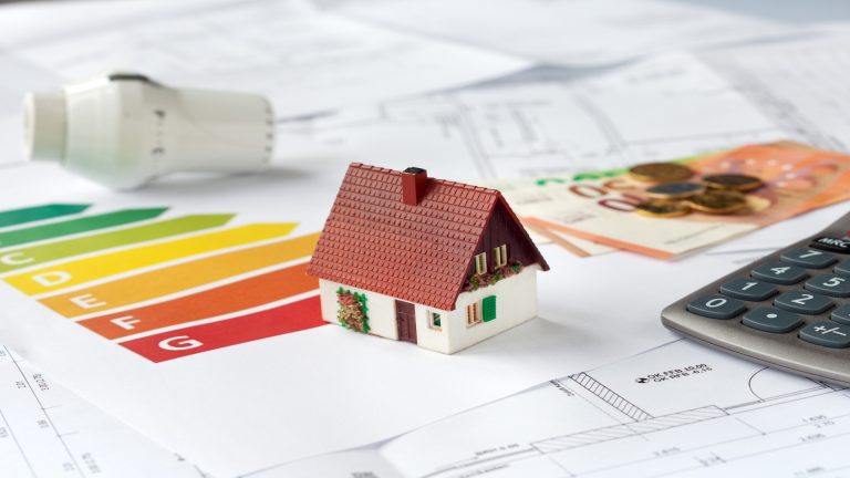 Maximizing the Financial Benefits of Government Grants for Home Renovations: A Focus on Window Replacement
